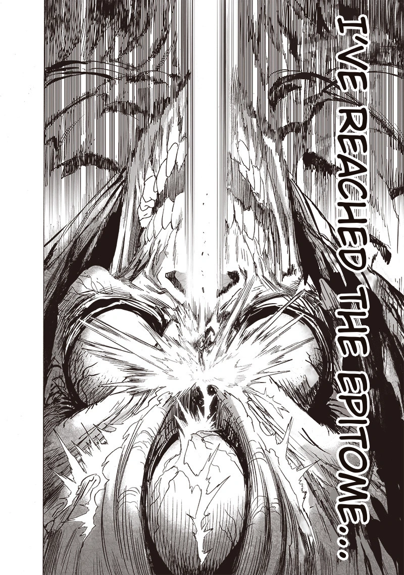 One Punch Man - Chapter 159 - Page 17