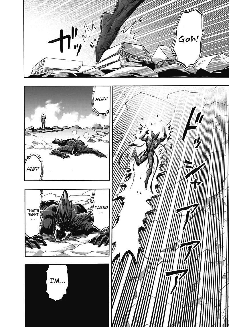 One Punch Man - Chapter 168 - Page 42