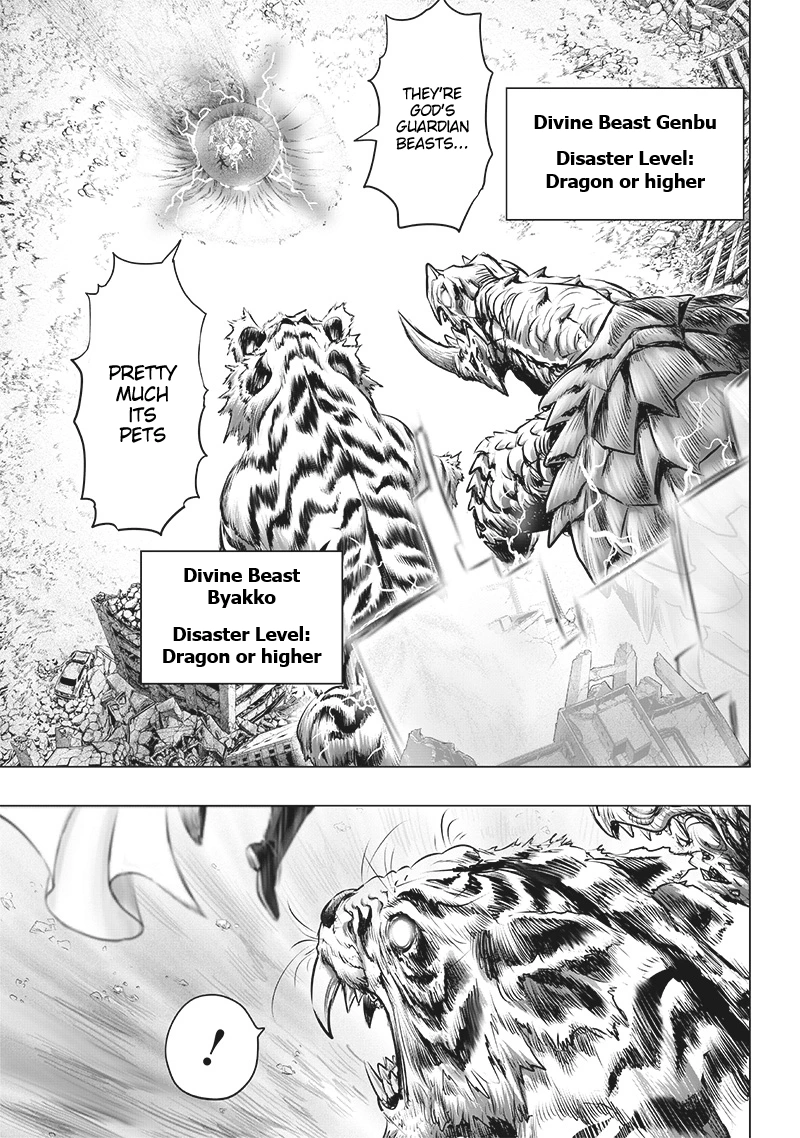 One Punch Man - Chapter 202 - Page 4