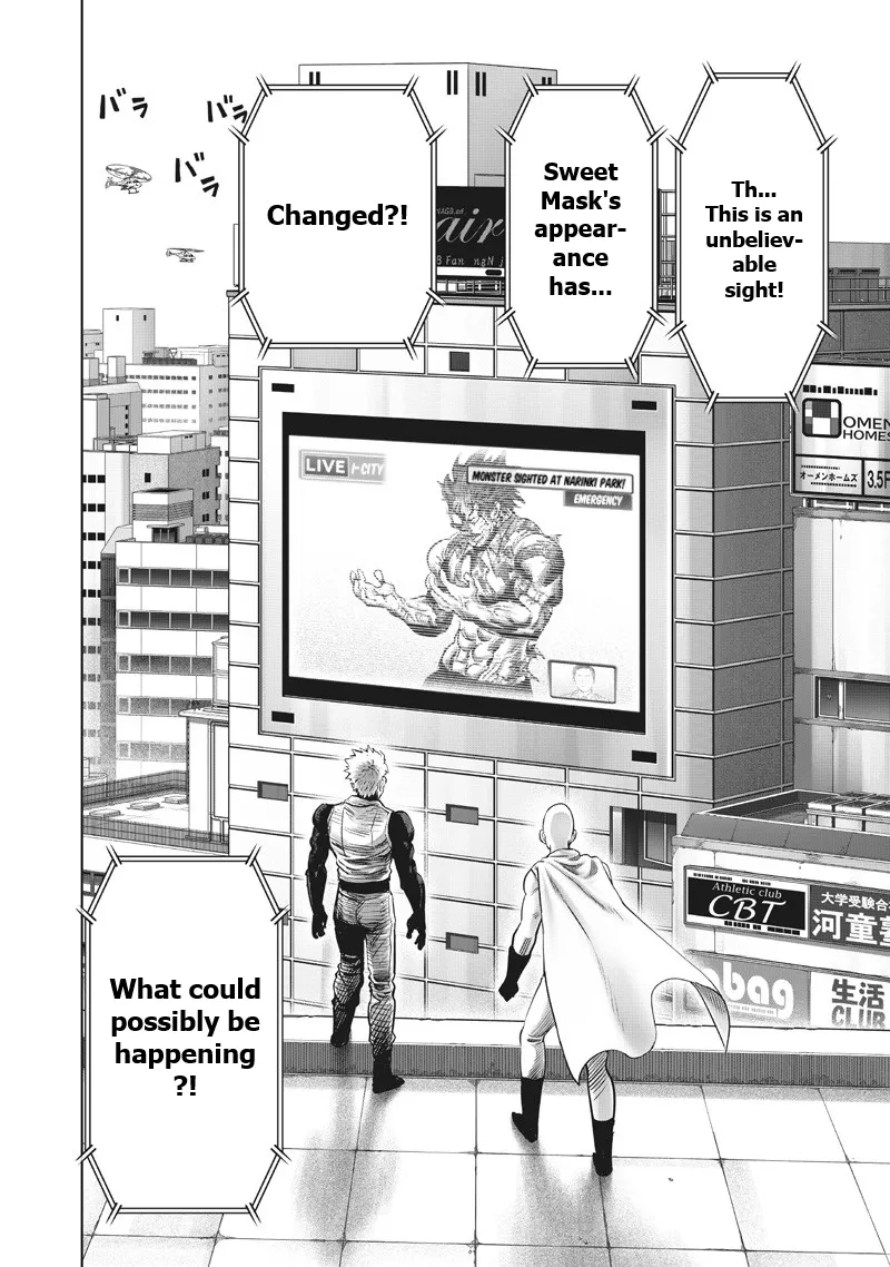 One Punch Man - Chapter 216 - Page 17